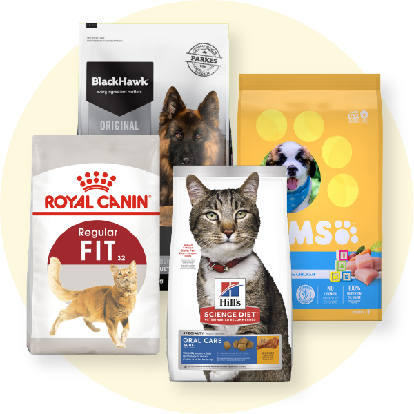 Do You Know How to Build the Perfect Bowl For Your Pet? 🐾 Pet Direct