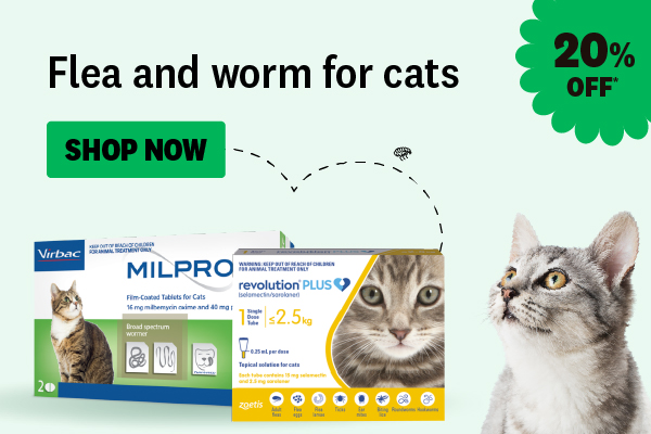 Flea and worm for cats
