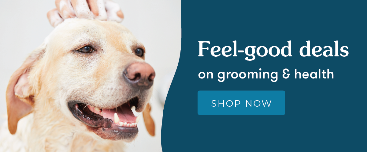 https://petdirect-email.s3.amazonaws.com/guids/CABINET_e49e494e6575c9603e838f8b68e3dae3/images/groominghealthcleanup_03222x_n7m.png